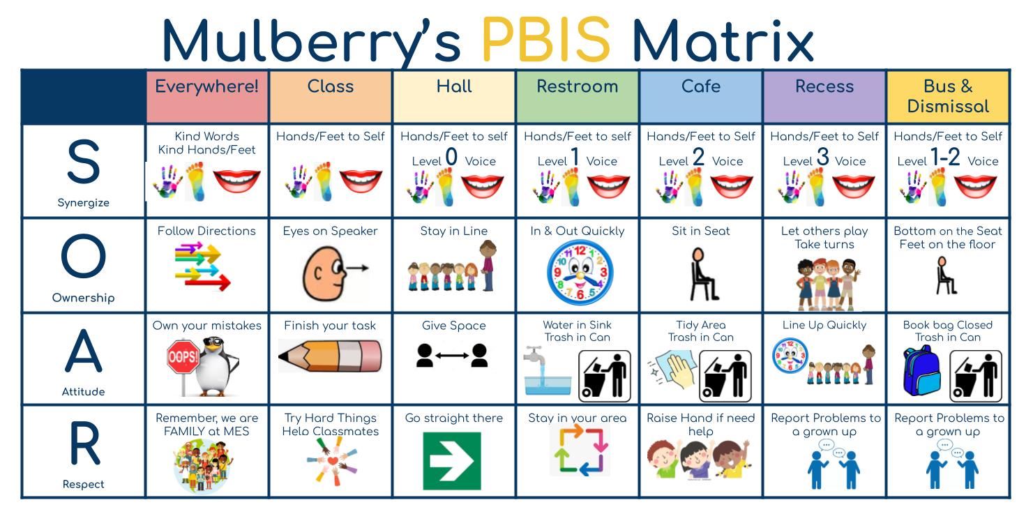 PBIS PK-5th Chart